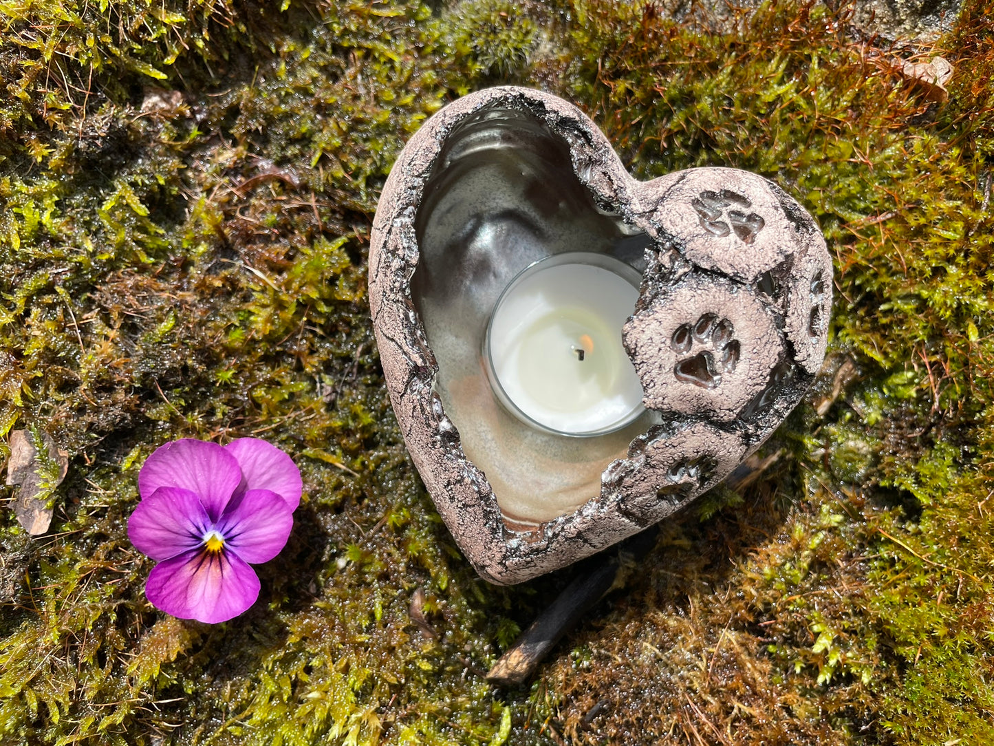 Herz Licht mit Tierpfötli