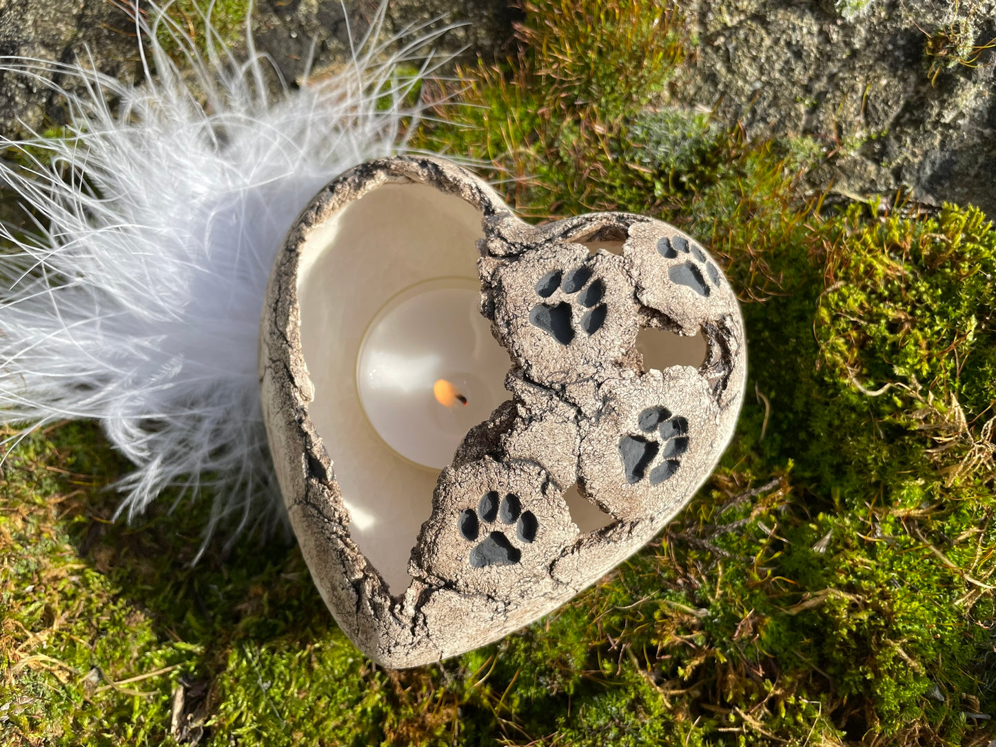 Herz Licht mit Tierpfötli
