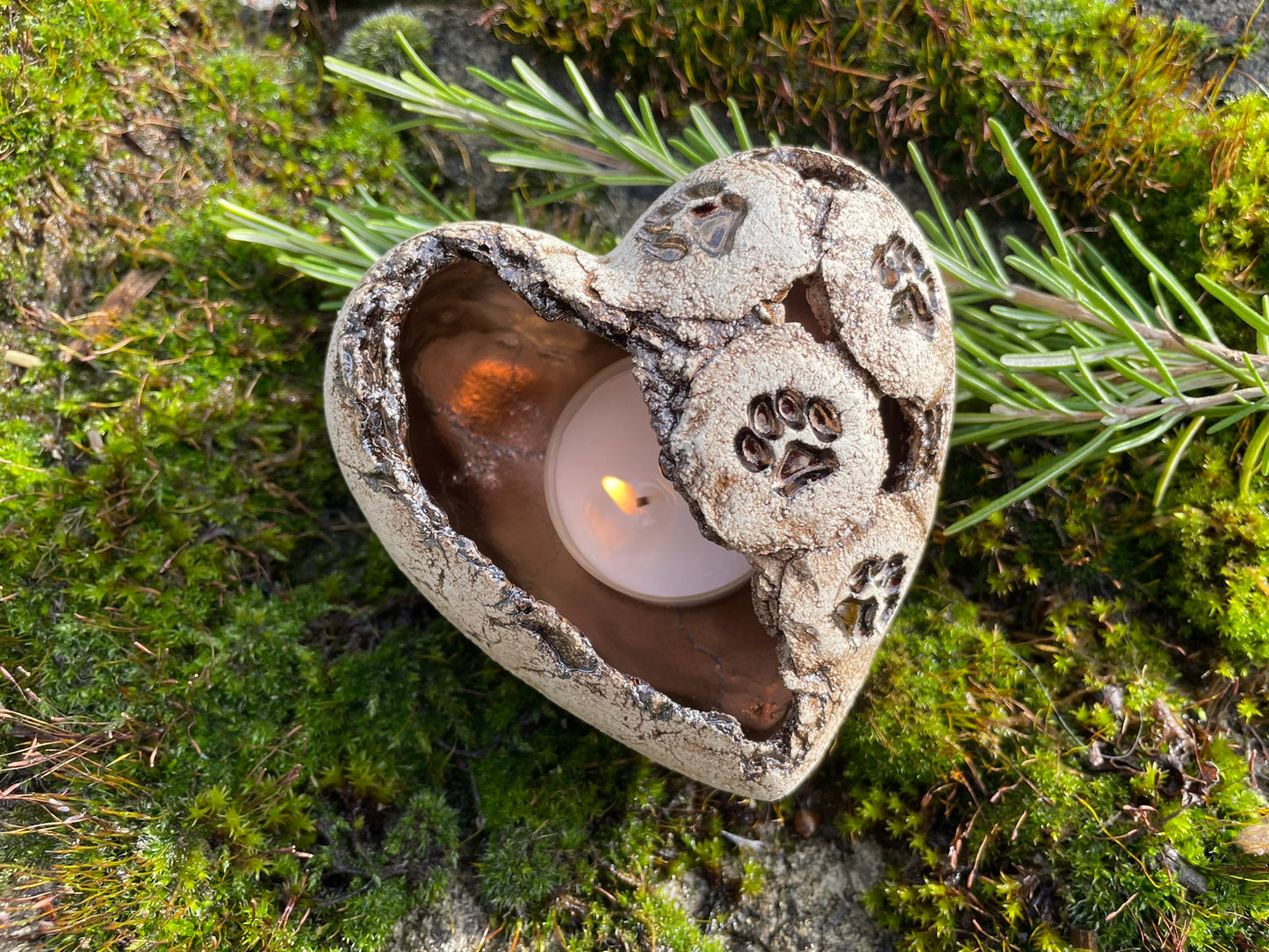 Herz Licht mit Tierpfötli