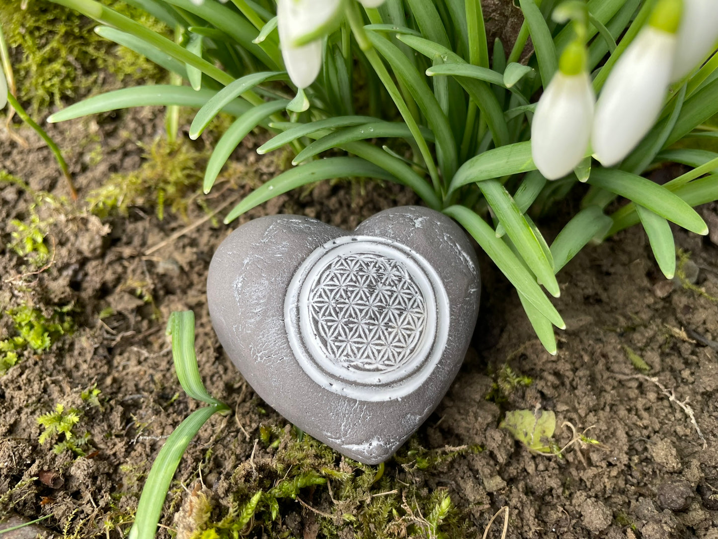 Deko Herz mit Lebensblume